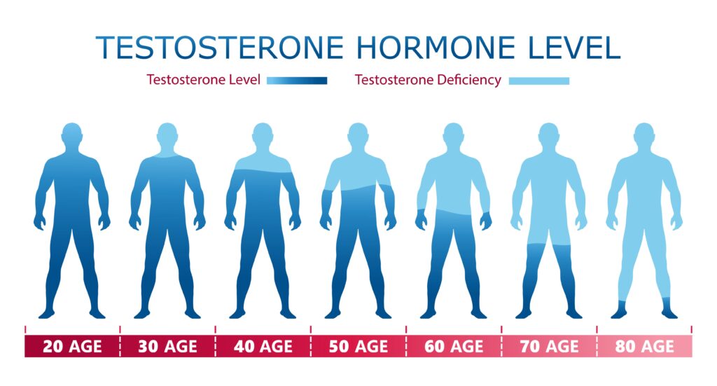 Testosterone Levels in Men by Age: Normal Levels, Signs of High and Low T